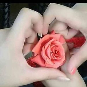 Meet your Posher, Korita